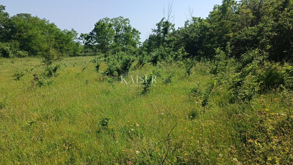 Image 6102501 - 4