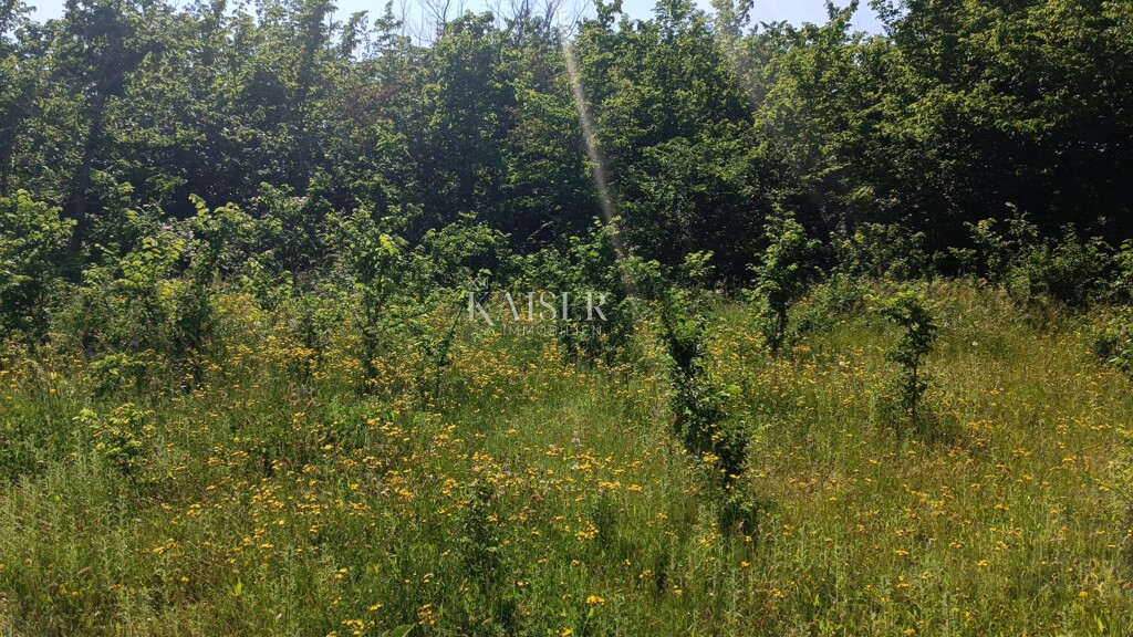 Image 6102501 - 3