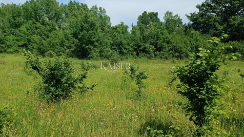 Istra - Barban - građevinsko zemljište, 850 m2