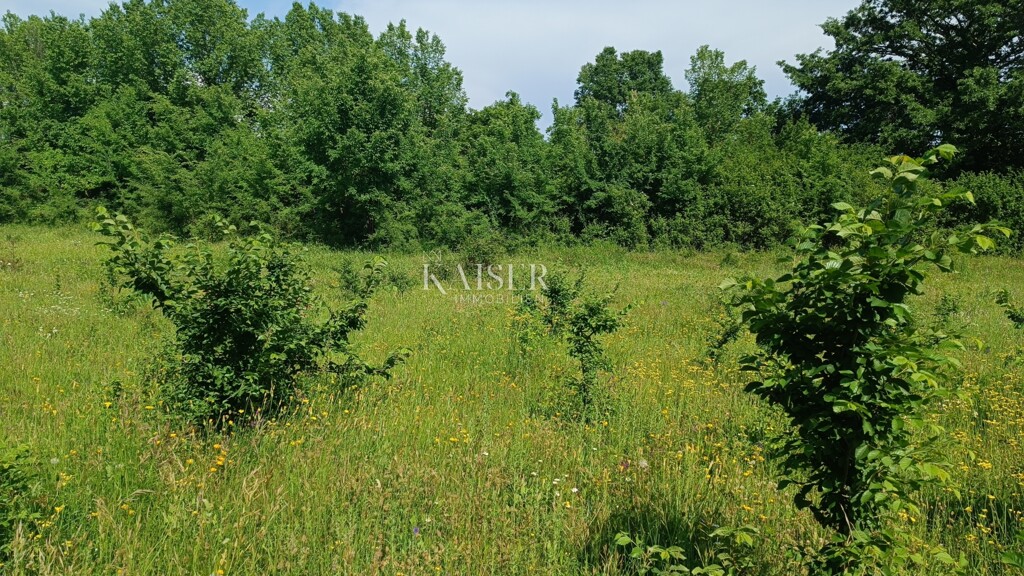Image 6102501 - 2
