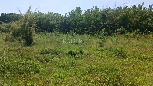 Thumbnail 6102502 - 3