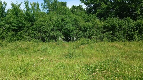 Istra - Barban - građevinsko zemljište s dozvolom, 1040 m2