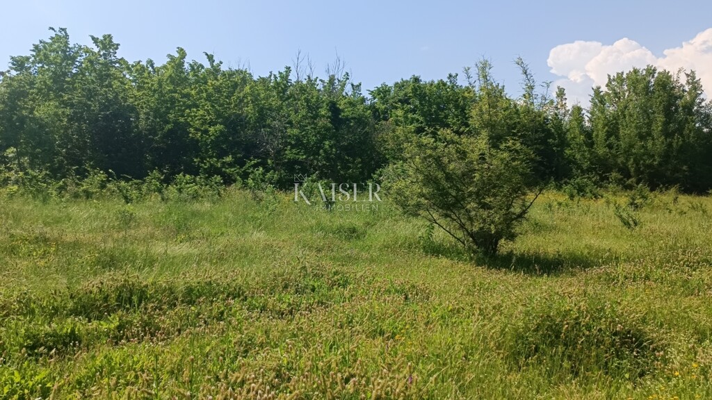 Image 6102502 - 5