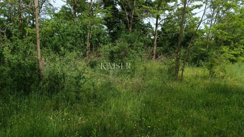 Thumbnail 6102504 - 3