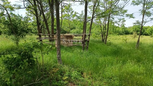 Thumbnail 6102504 - 5
