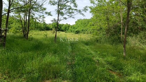 Thumbnail 6102504 - 4