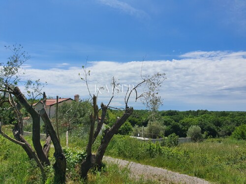 Istra - Lovreč, prekrasno građevinsko zemljište 1006m2