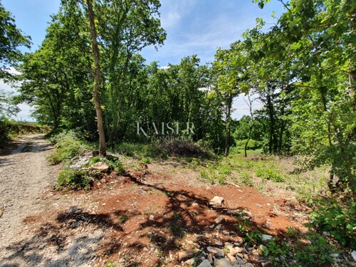 Istra - Lovreč, prekrasno građevinsko zemljište 871m2