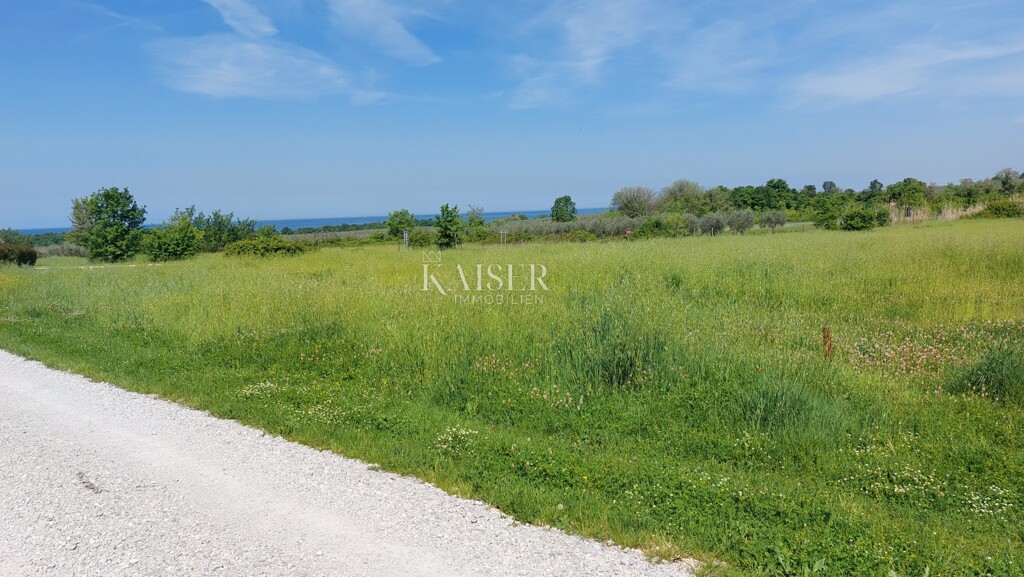 Image 6102526 - 4