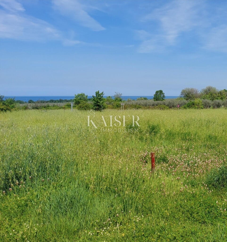 Image 6102526 - 2