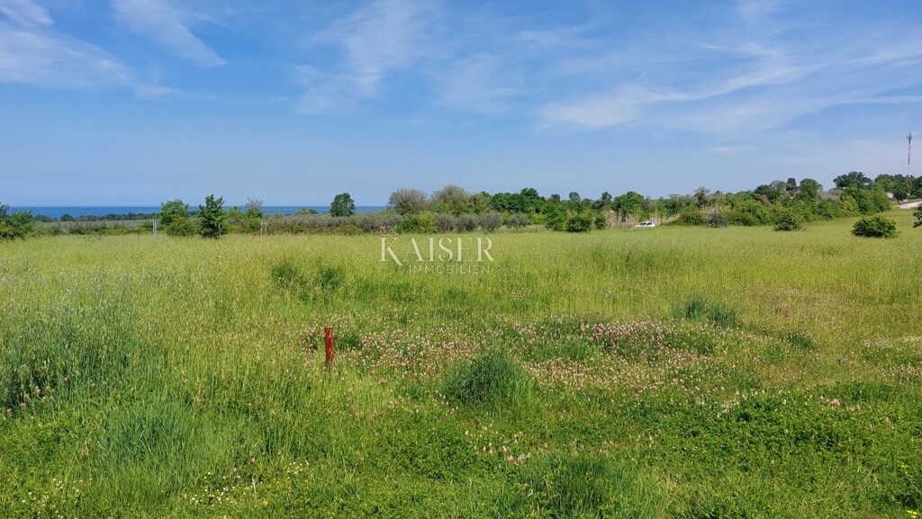 Image 6102526 - 3