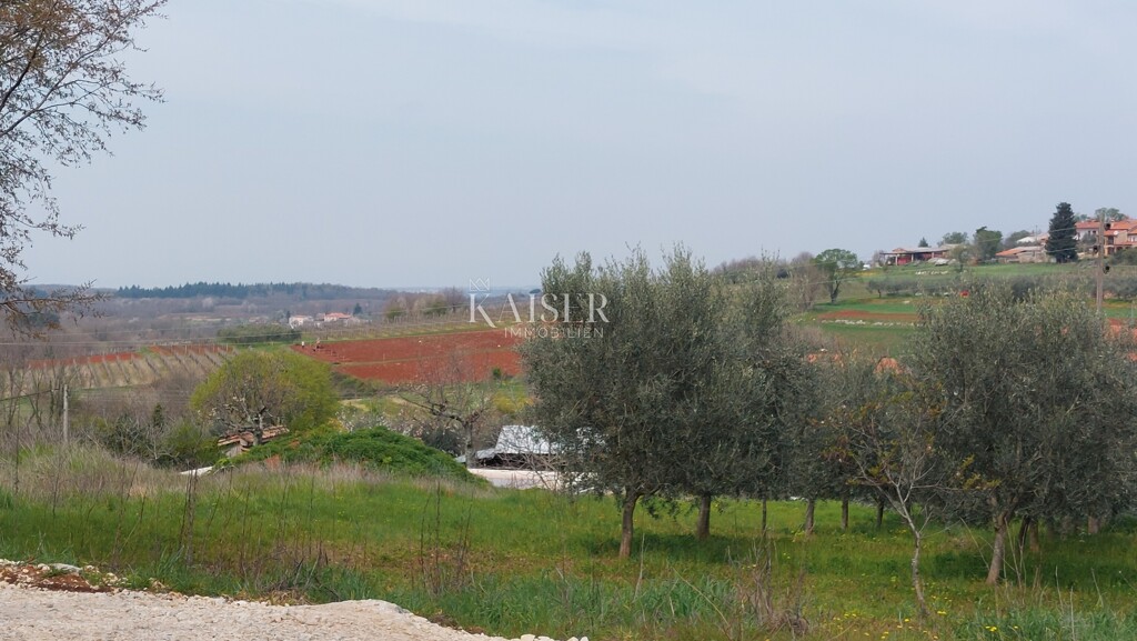 Image 6102539 - 3
