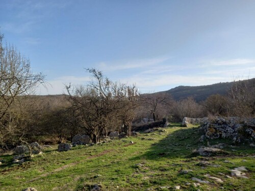 Thumbnail 6102540 - 7