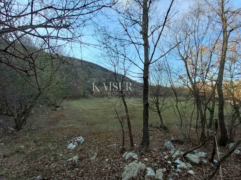 Image 6102540 - 3
