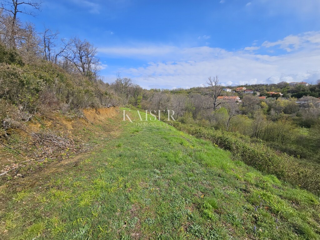 Image 6102574 - 3