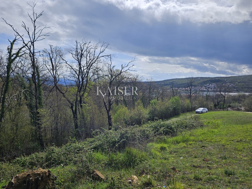 Image 6102574 - 4