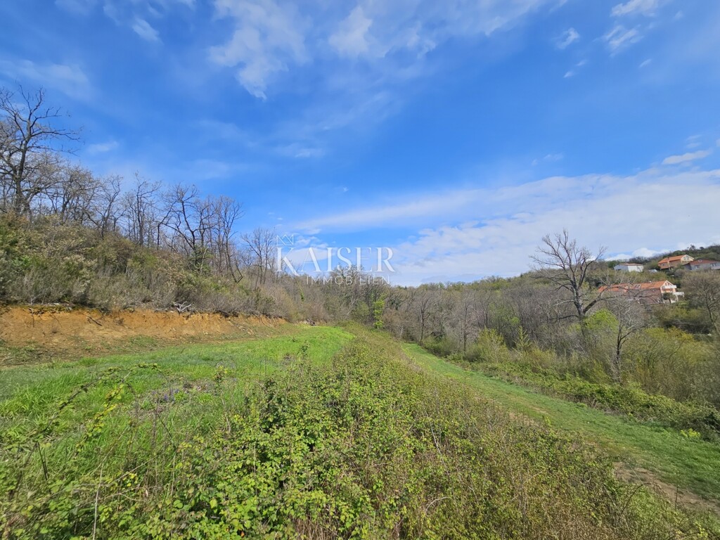 Image 6102574 - 1