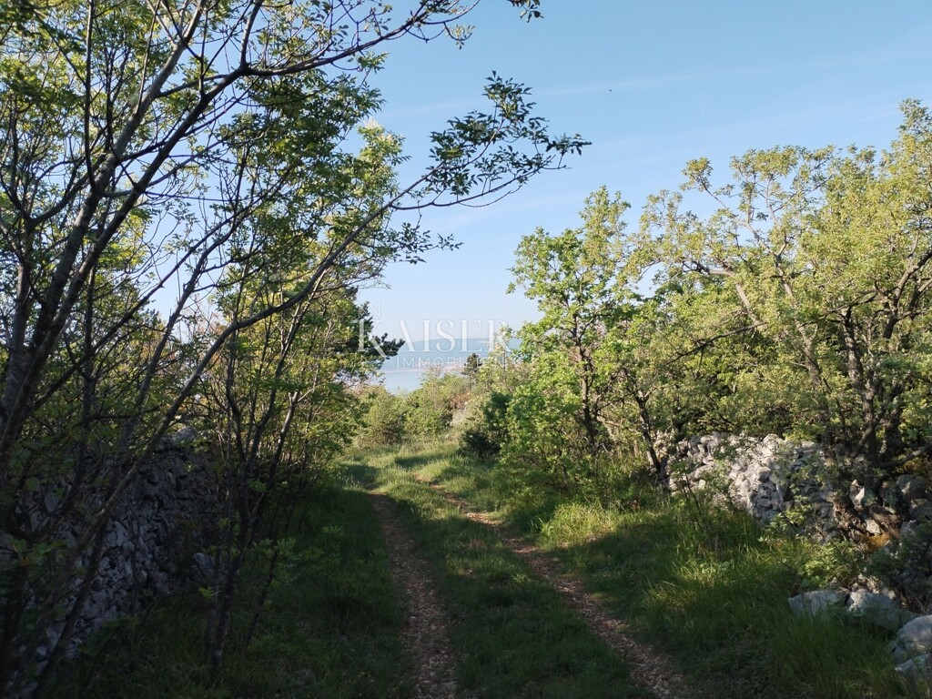 Image 6102576 - 3