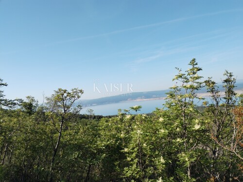 Thumbnail 6102576 - 5