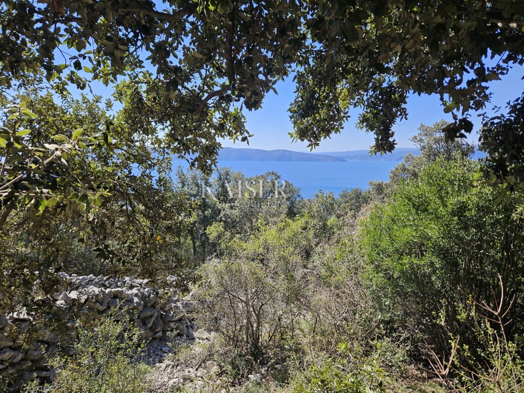 Image 6102588 - 4