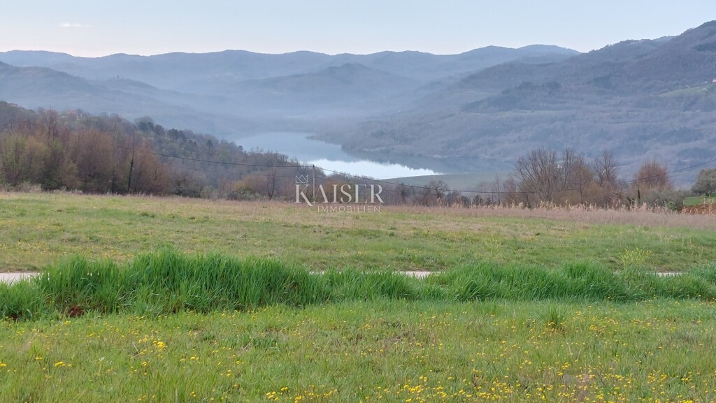 Image 6102601 - 6
