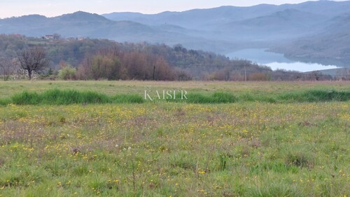 Thumbnail 6102601 - 5