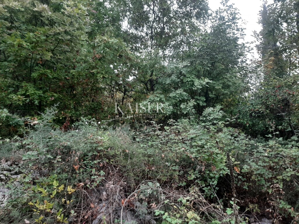 Image 6102643 - 1