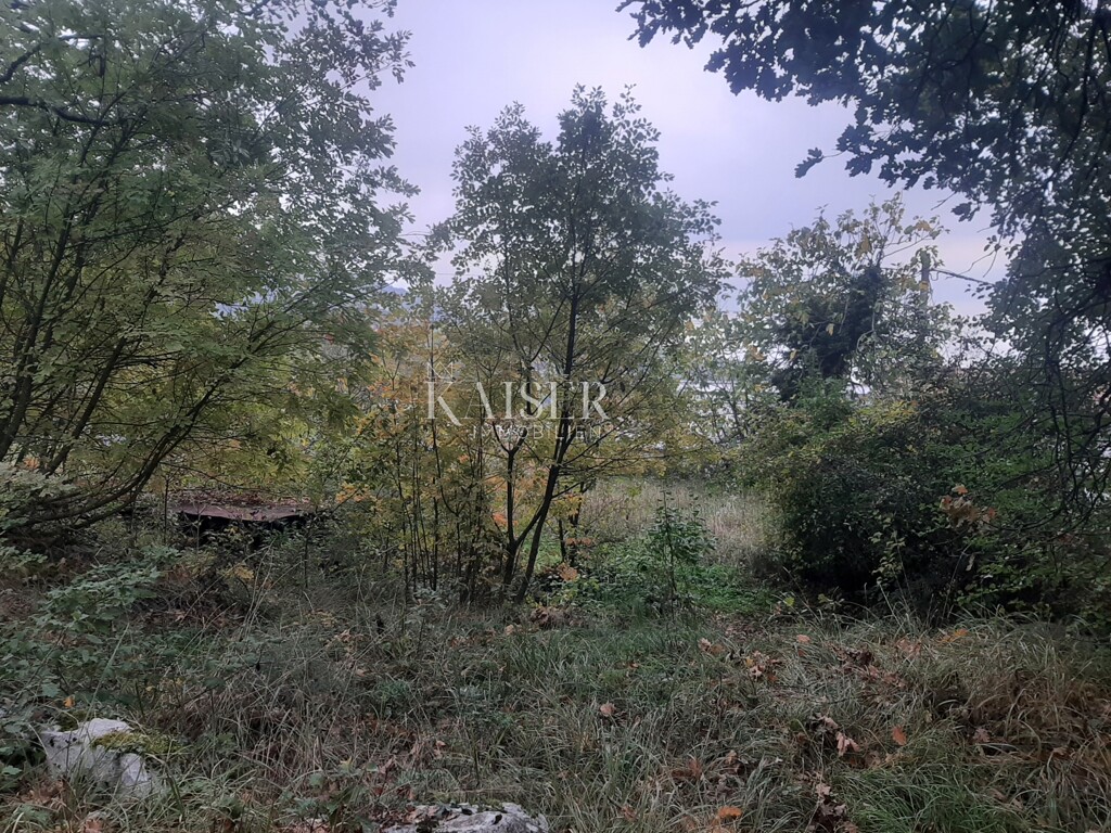 Image 6102643 - 2