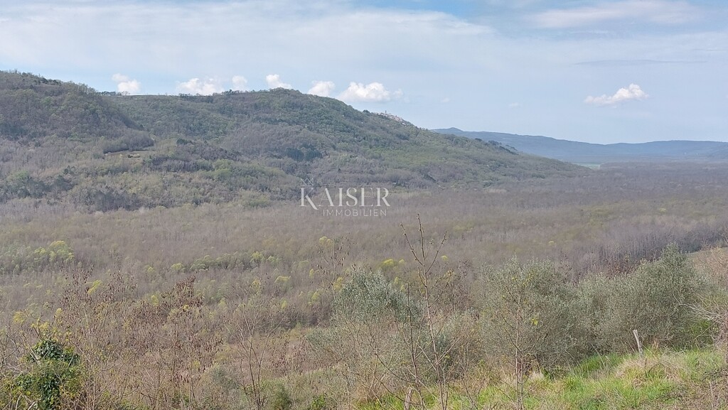 Image 6102648 - 8