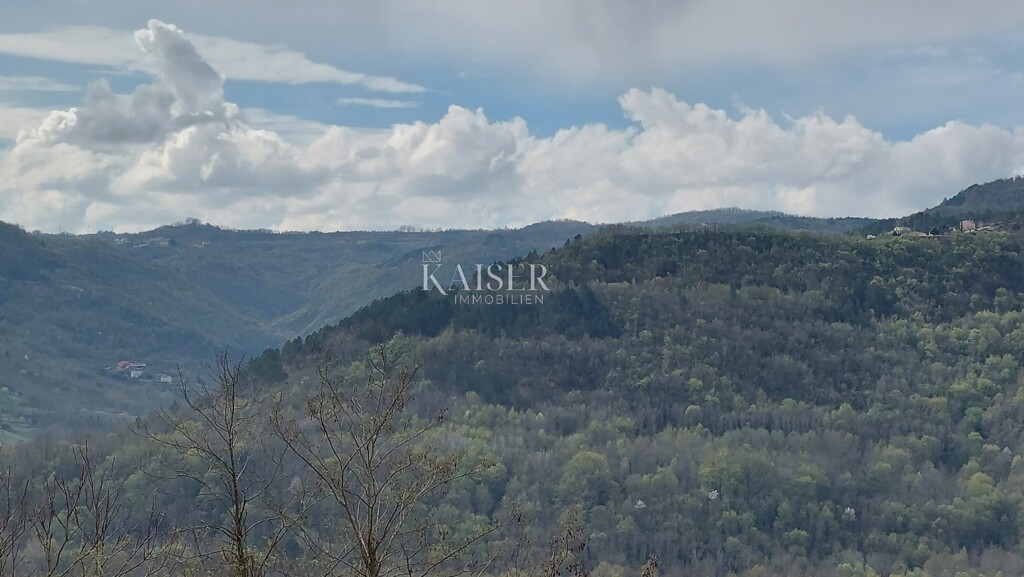 Image 6102648 - 7