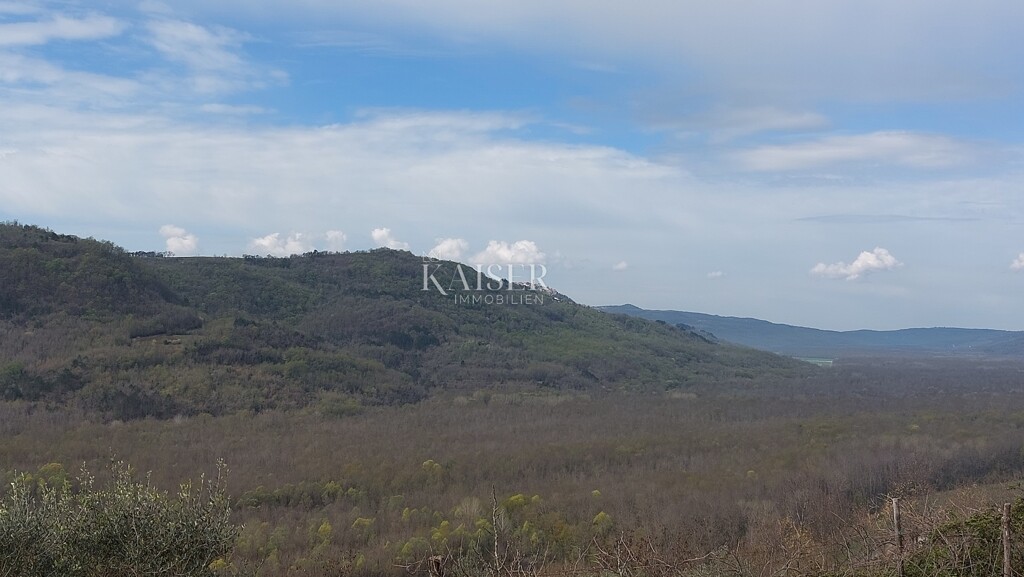 Image 6102648 - 5