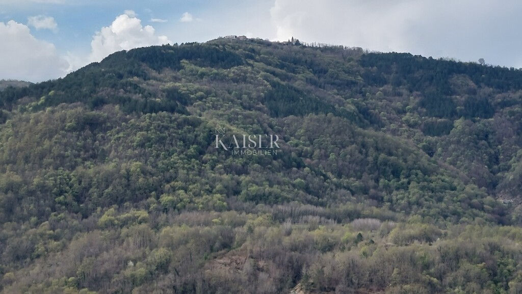 Image 6102648 - 12