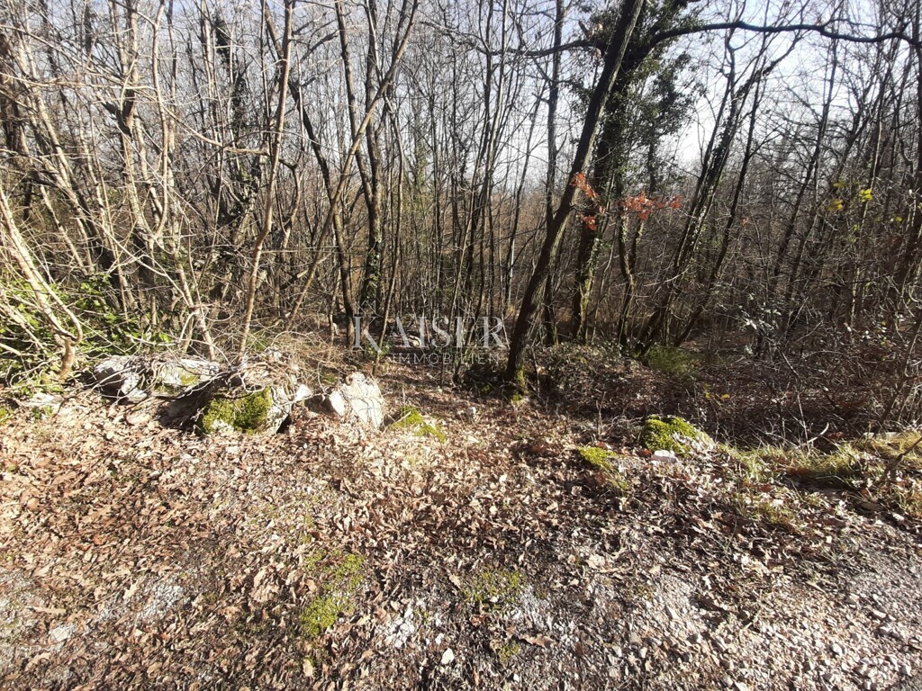 Image 6102664 - 4