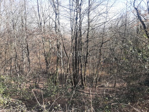 Thumbnail 6102664 - 5