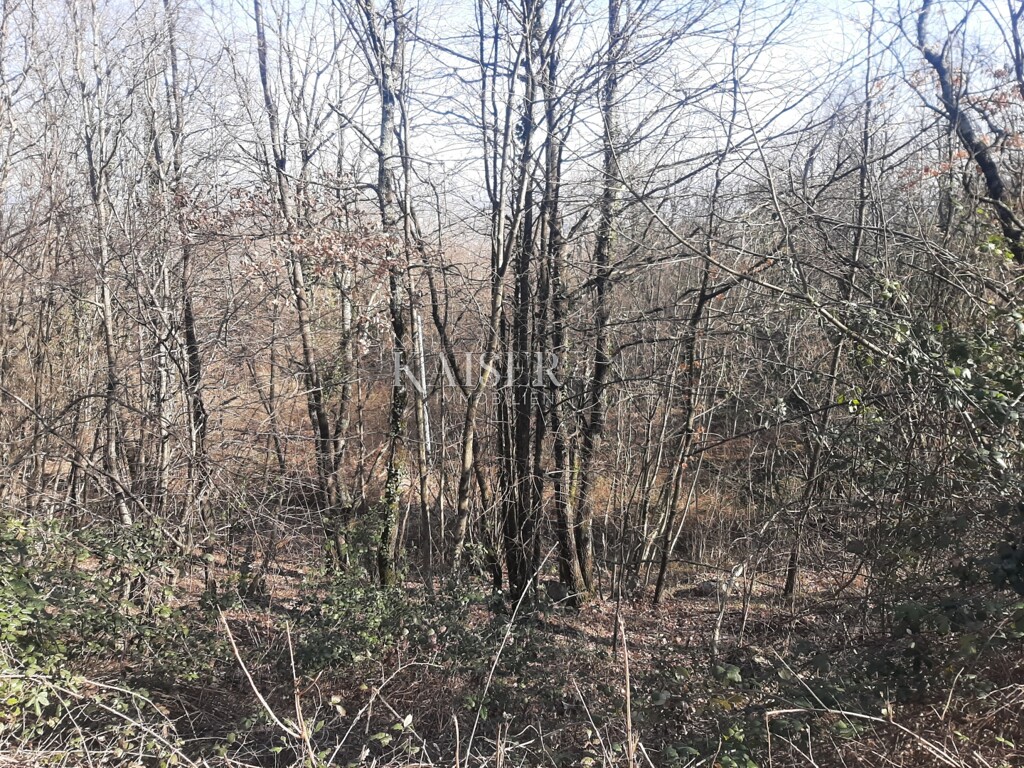 Image 6102664 - 5