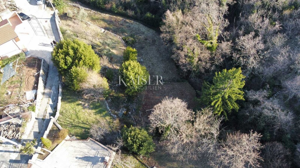 Image 6102674 - 5