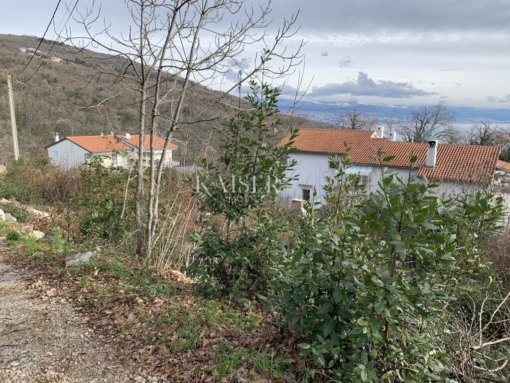 Image 6102712 - 3