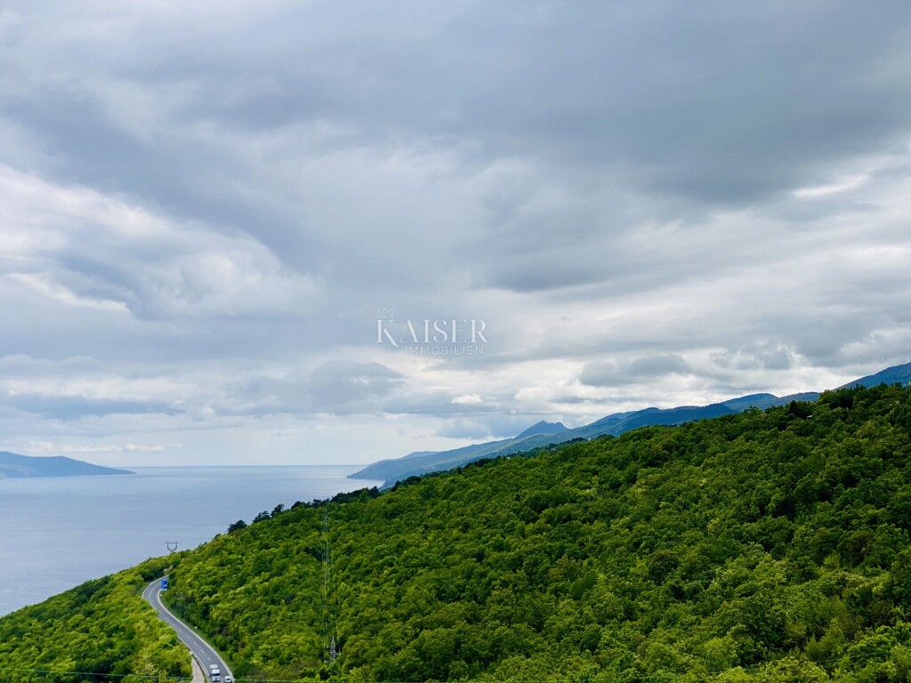 Image 6102727 - 16