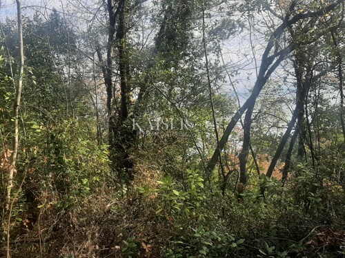 Thumbnail 6102747 - 5