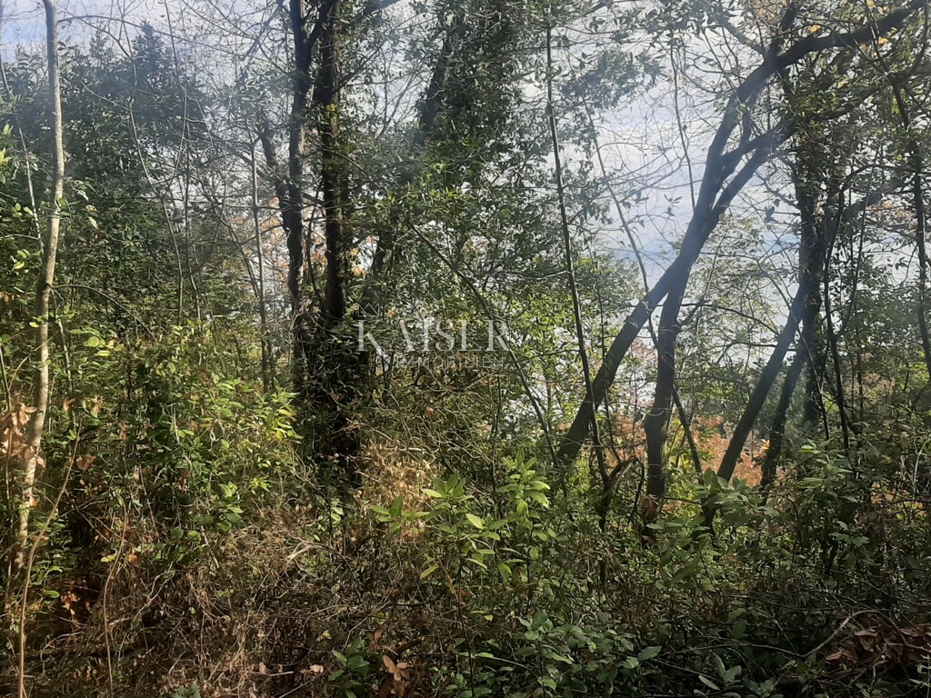 Image 6102747 - 5