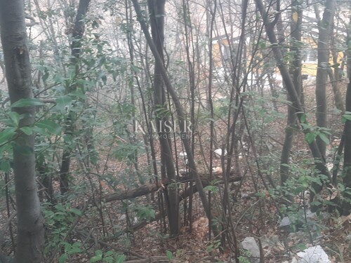 Thumbnail 6102748 - 6
