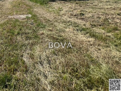 Thumbnail 6103403 - 1