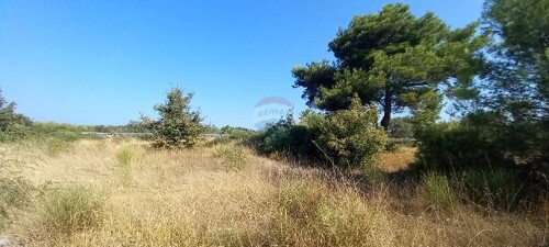 Thumbnail 6103671 - 1