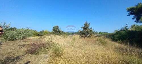 Thumbnail 6103671 - 7