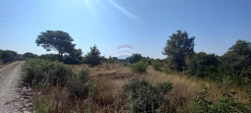 Thumbnail 6103671 - 2