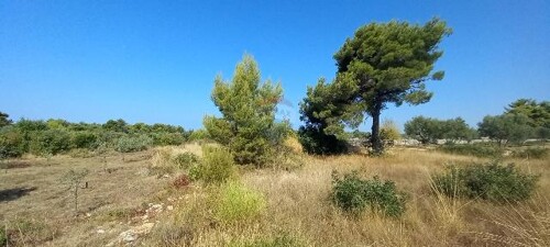 Thumbnail 6103671 - 6