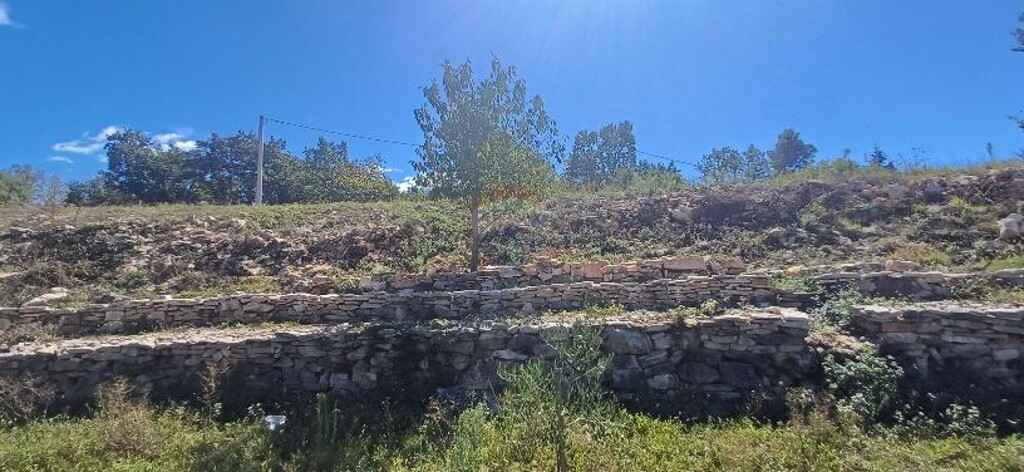 Image 6103672 - 8