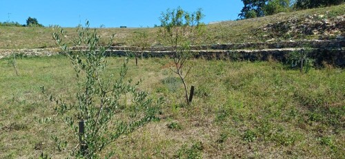 Thumbnail 6103672 - 5