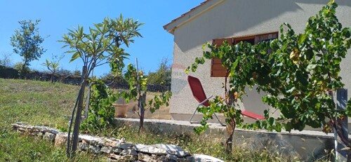 Thumbnail 6103672 - 2