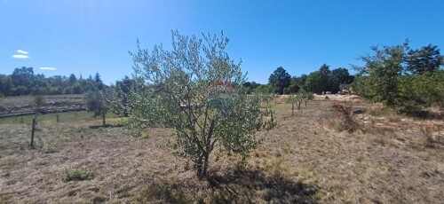 Thumbnail 6103672 - 13